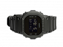 DW-5600BB-1